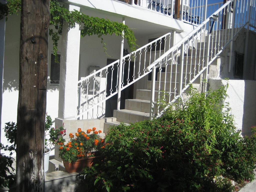 Apartmán Kamelia Kokkari Exteriér fotografie